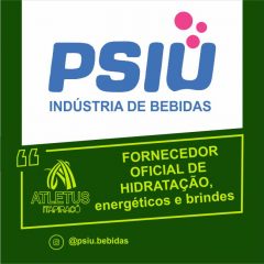 PARCEIROS psiu